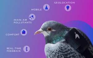 Plume Labs - Flyer